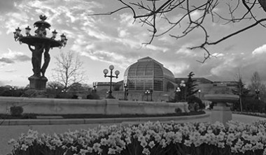 The United States Botanic Garden